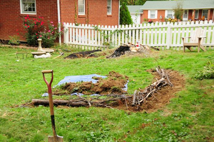 logs, limbs and branches