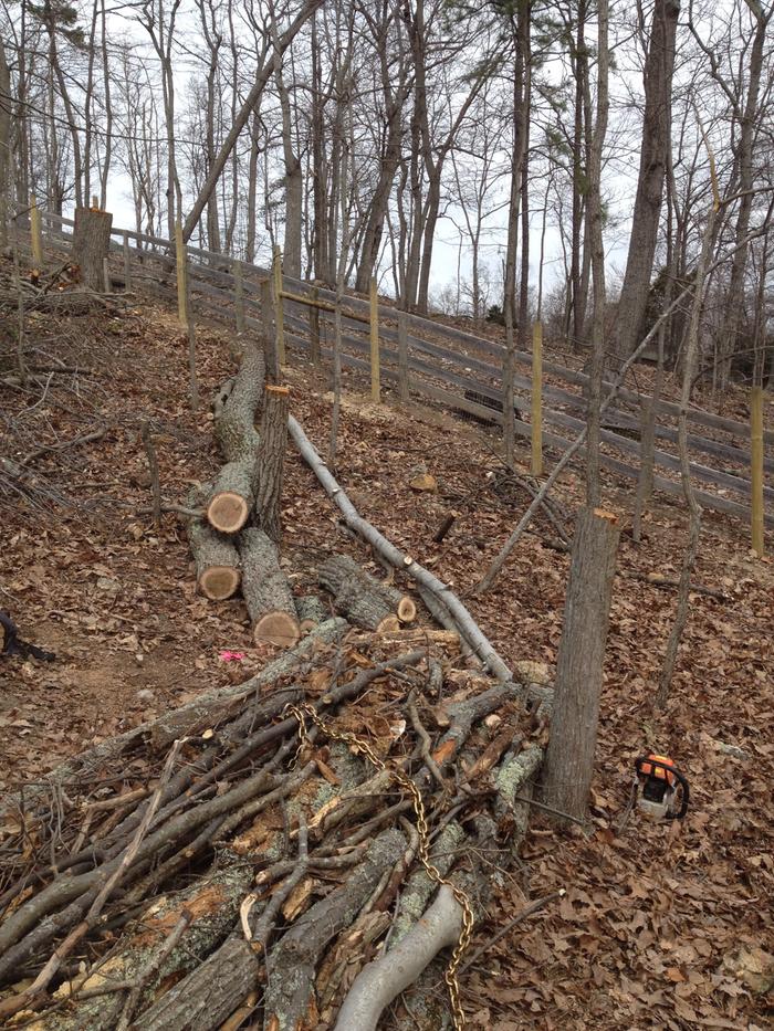 took a bit of work moving these logs