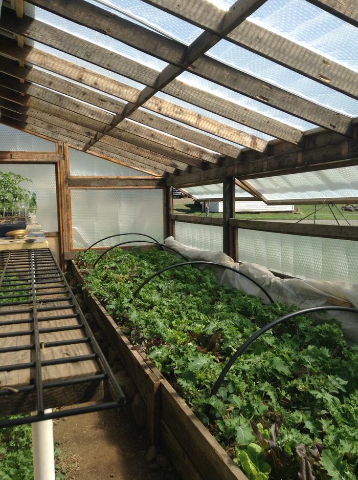 greenhouse interior