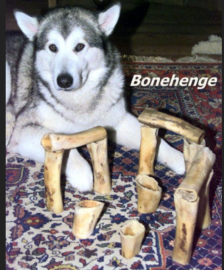 Bonehenge!