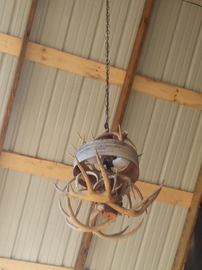 antler ceiling light