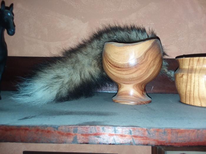 raccoon tail and carved bowl