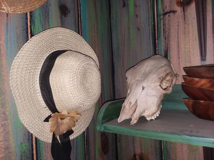 cow skull and straw hat