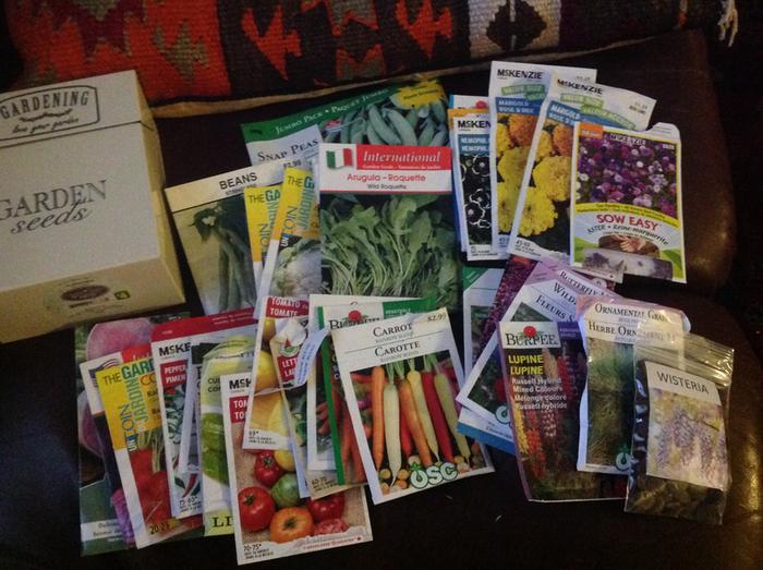 cheap and free seeds