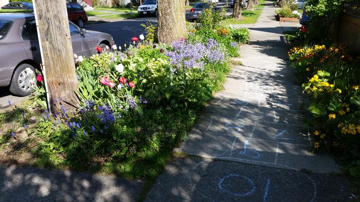 Several people grow flowers and edibles