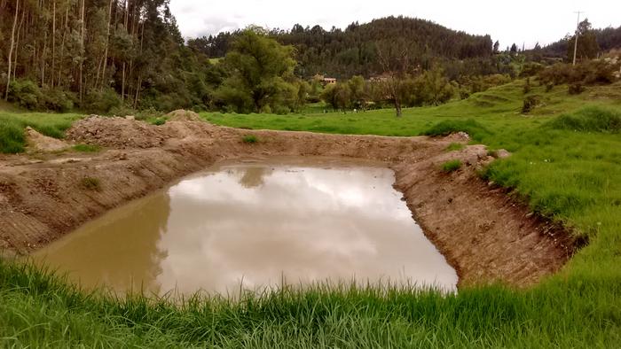 Mid-May, the pond is almost full