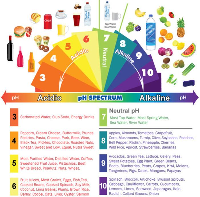 [Thumbnail for acidic-alkaline-phchart.jpg]