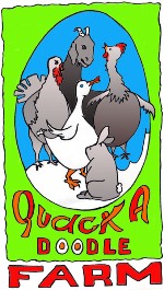 [Thumbnail for quack_logo.jpg]