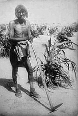 [Thumbnail for Hopi_with_corn-about-1910.png]