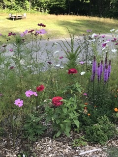 Front garden