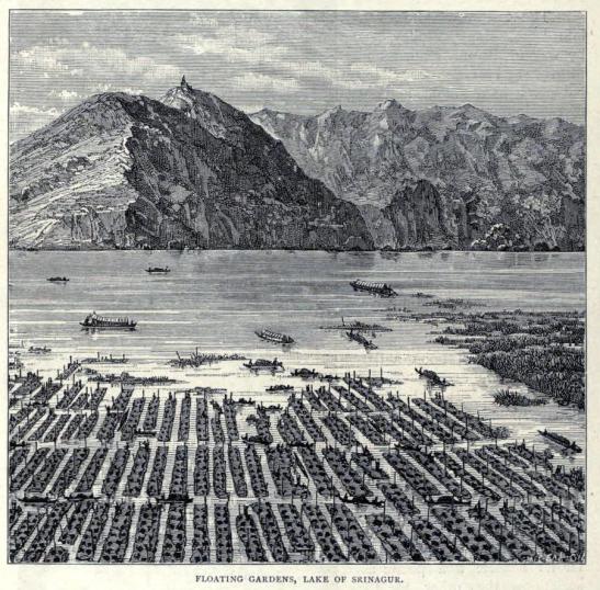 [Thumbnail for floating-gardens-of-dal-lake-1881.jpg]