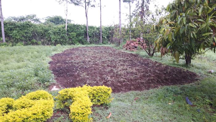 Several garden plots at both the grandmother and uncle's place in the country. Chickens everywhere