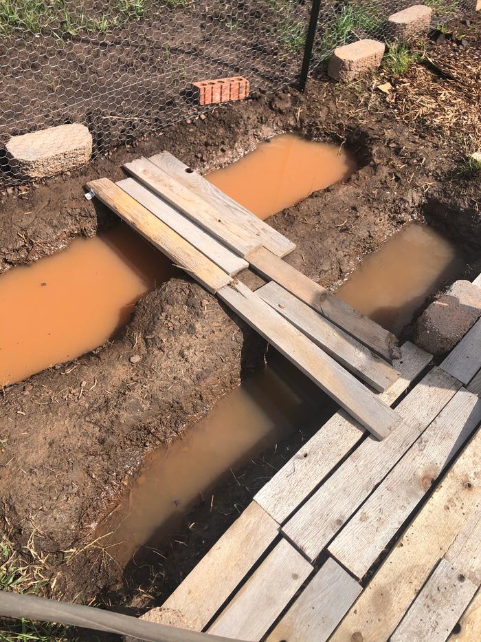 bridge over asparagus trenches 