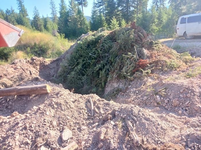 mulching the Hugelkultur 