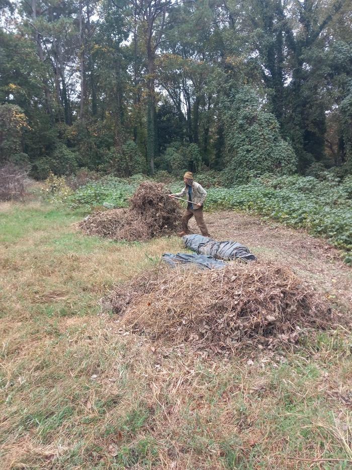 stacking "hay"