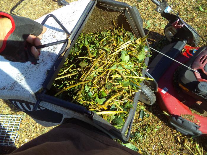 the bagger comes in handy if you wanna save the mulch for later