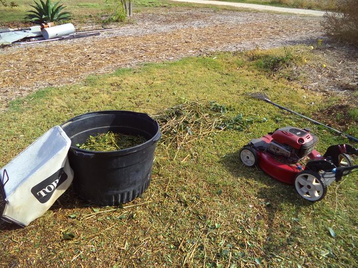 showing the volume reduction the mower does ... that pile filled 3 mower bags 