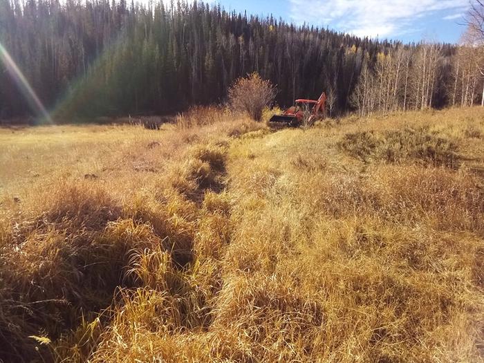 The ditch filled with swamp grass that I removed.