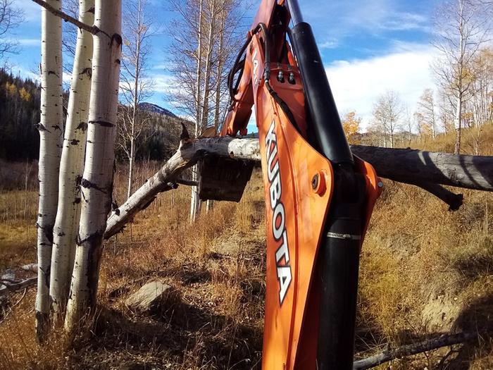 This won't work for green trees, or pine trees, but old aspen trees break pretty easily if you forgot you saw.