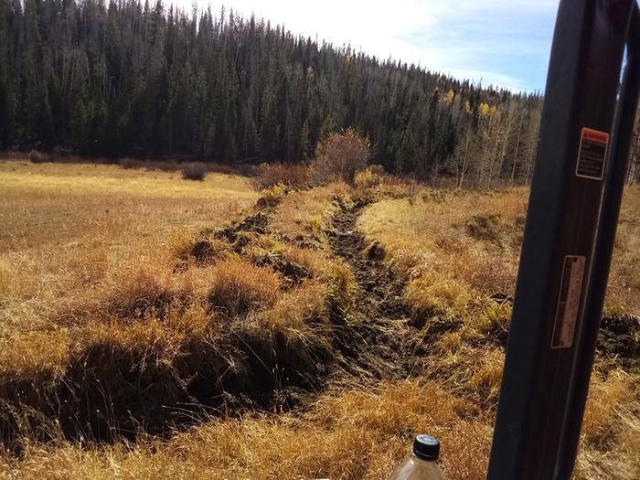 All the swamp grass cleaned out from the fence to the flume.