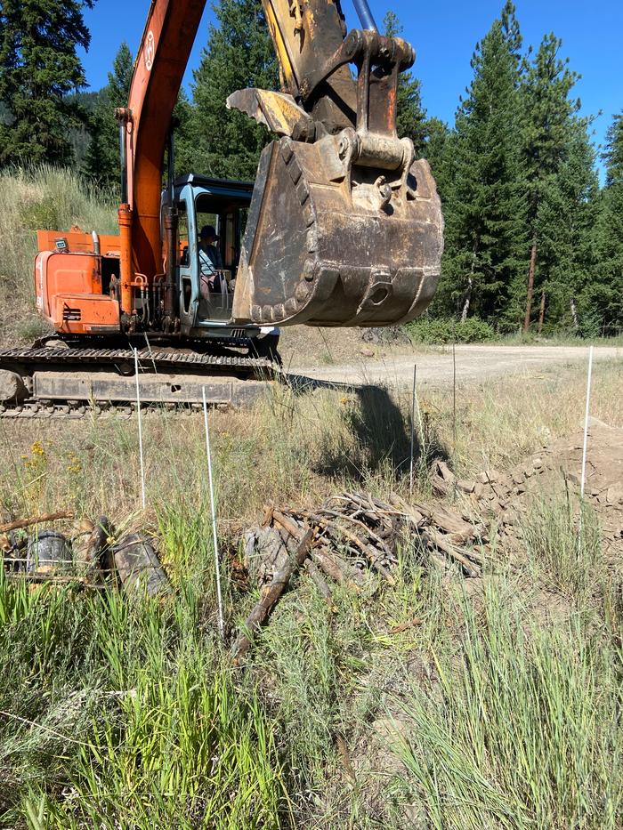  Untouched soil and Ally in the excavator