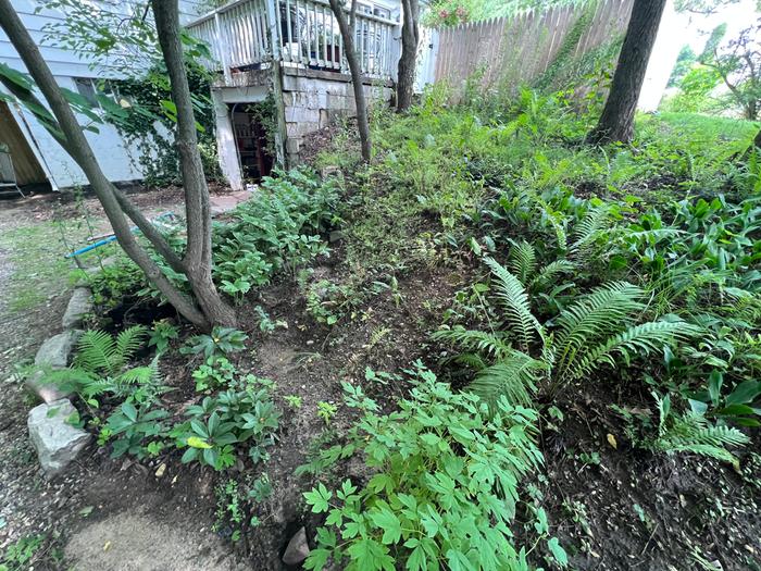 This is the hill before work started. There is an existing cinder block wall.