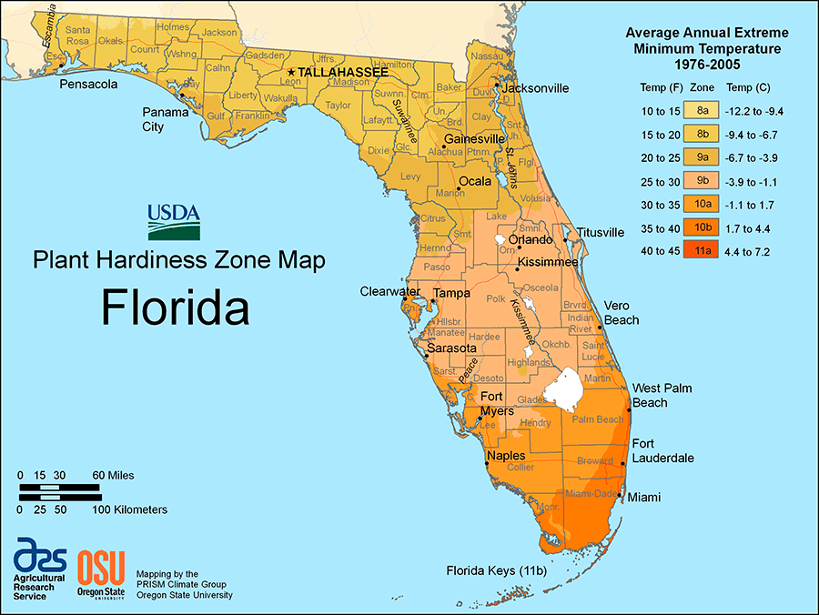 Florida Bound Shout Out To Local Permies southern Usa Forum At Permies 