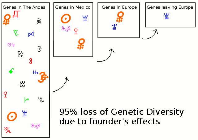 founders effect in tomatoes