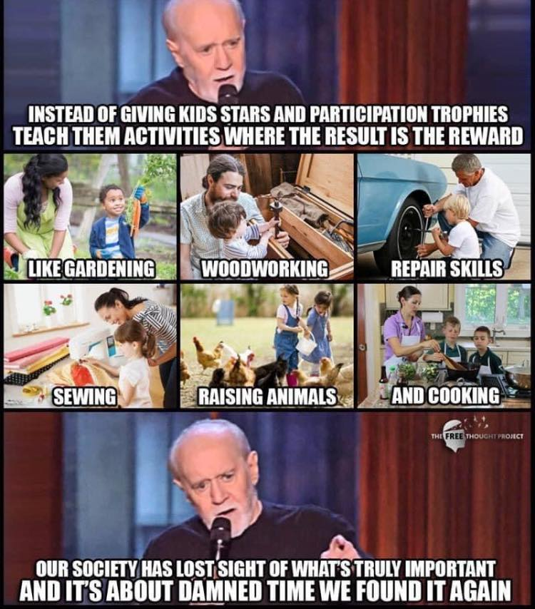 george carlin meme about teaching skills like gardening and repair instead of giving participation points