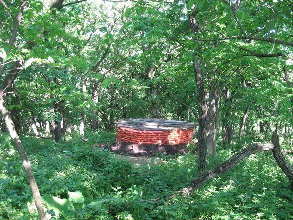 earthbag shelter in a woodland
