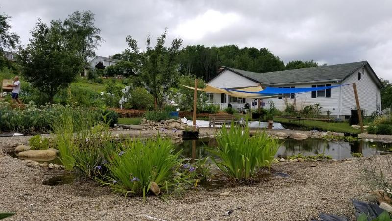 natural swimming pond gravel bank