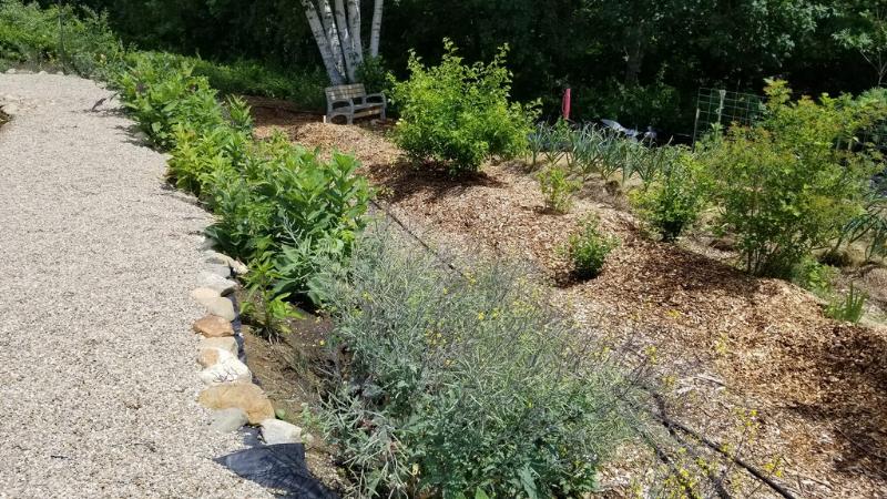 The path way is a swale that catches the pond over flow