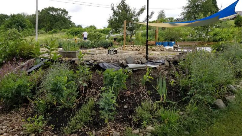 pond overflow goes into a swale just downhill