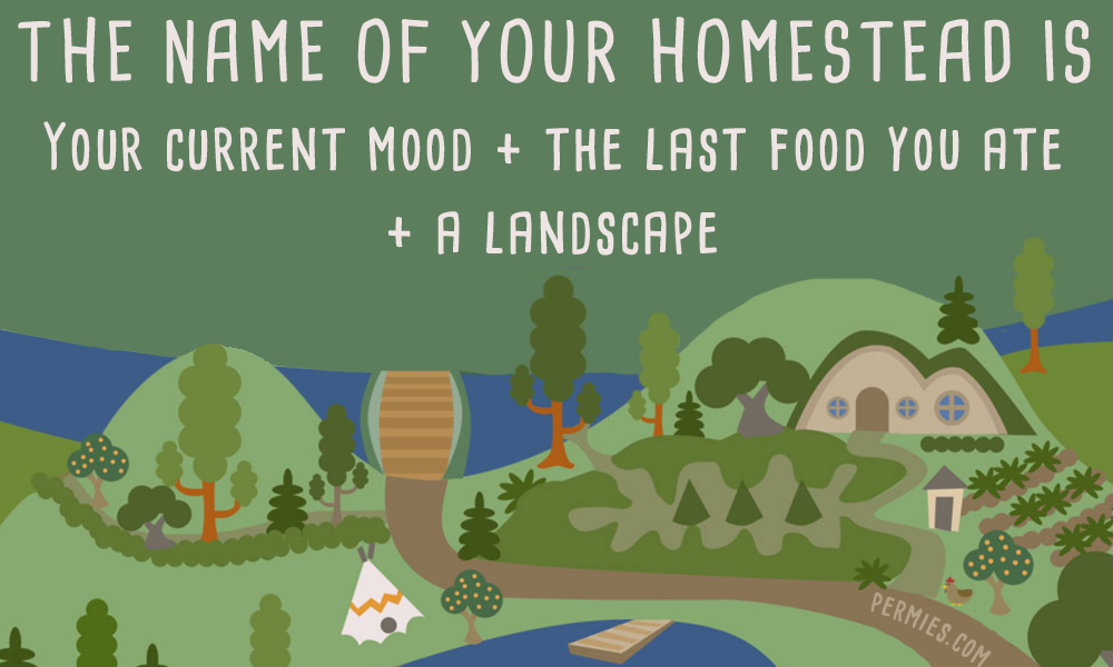 the name of your homestead is meme