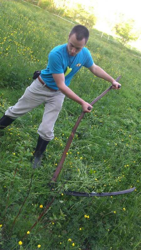 scythe lawn care is a beautiful thing
