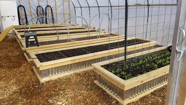 raised beds in new greenhouse