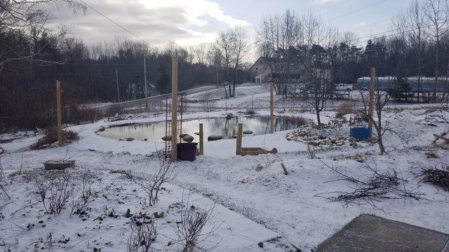 pond in frozen garden