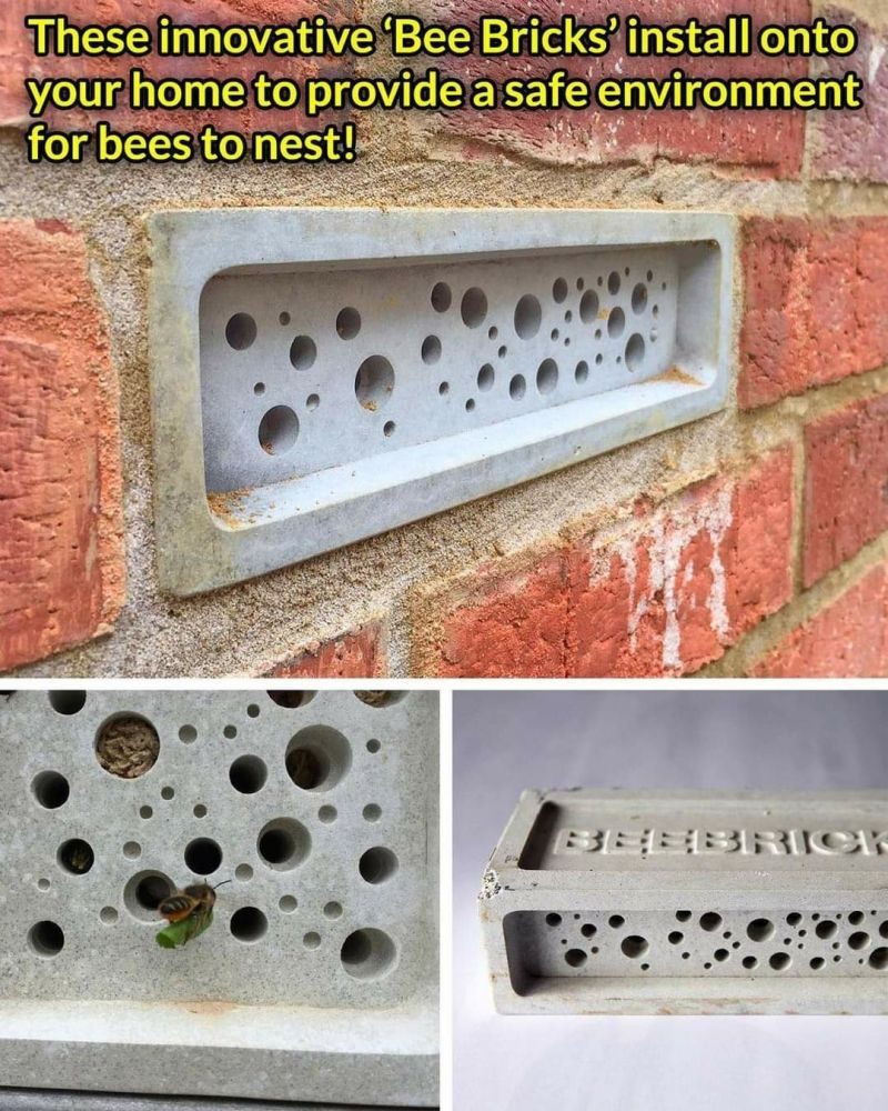 Spring Cardboard BeeTubes and Inserts for Mason Bees - 8mm