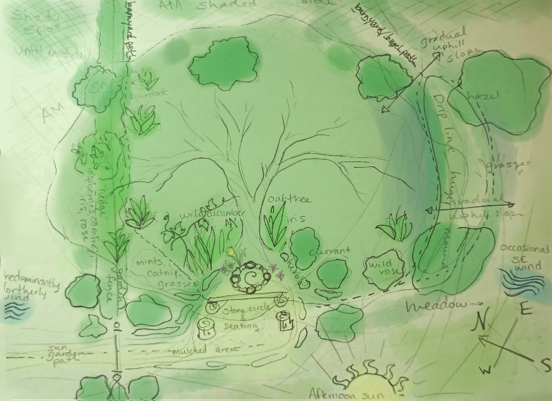 hand drawn permaculture guild design