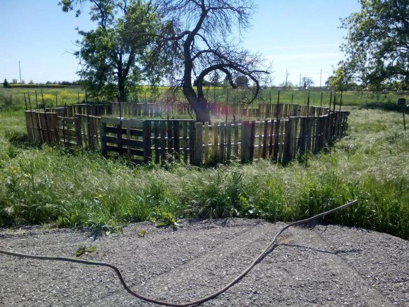 pallet fence to keep pigs in