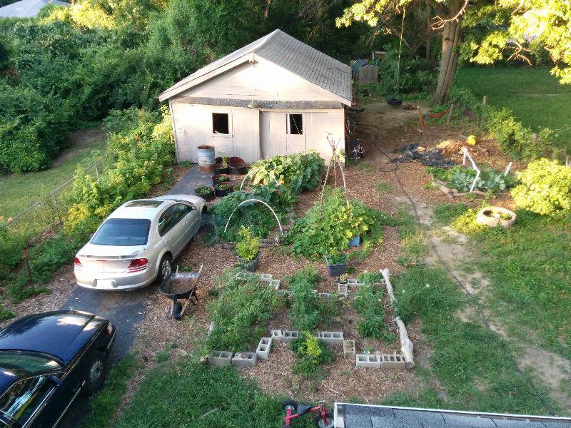 a permaculture suburban garden from above