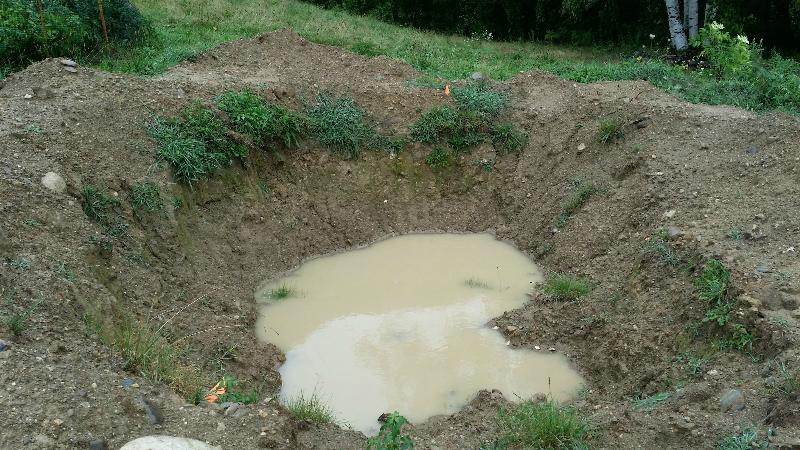 pond is just a puddle