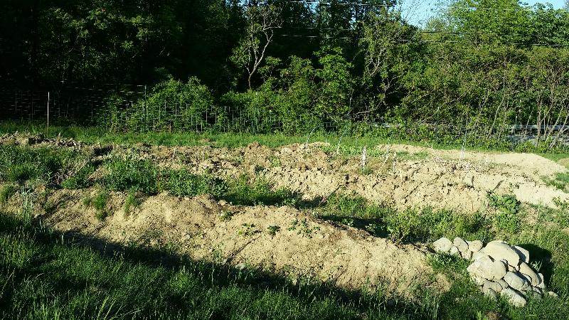 new hugelbeds