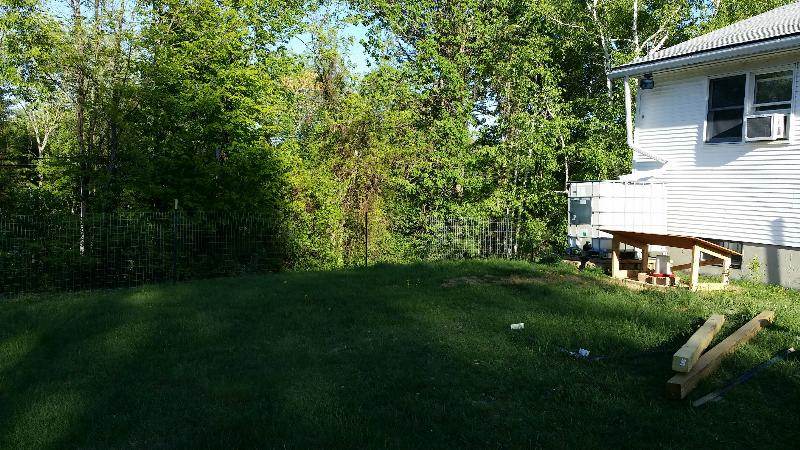 site for new chicken run on lawn