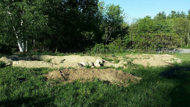future pond site by hugle beds