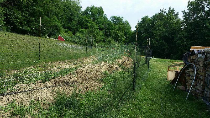working on planting the big swale berm