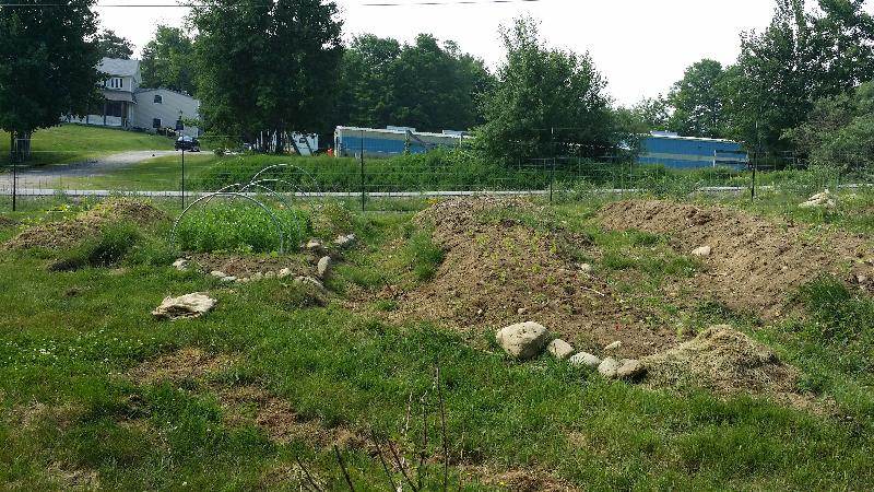 annual garden beds