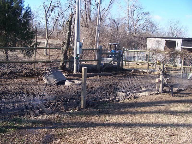 former pig paddock mud
