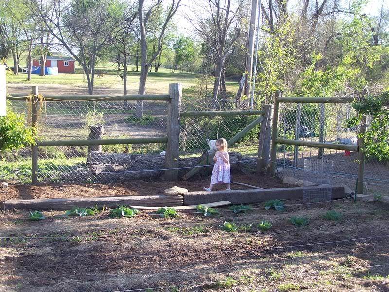 new veg garden in former pig paddock