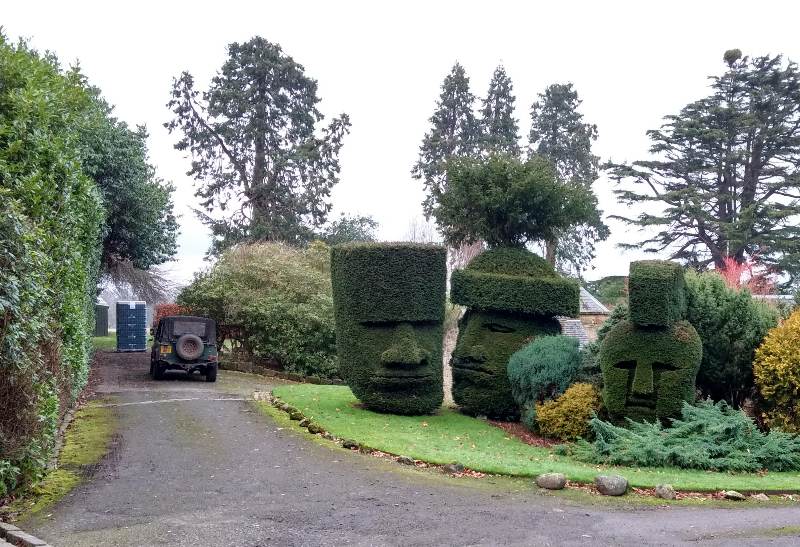 hedge scupting heads